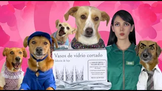 Los vasos de mamá Benita LA HISTORIA COMPLETA!! 