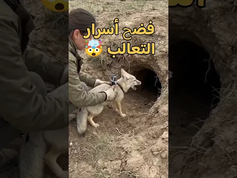 عرفنا لما دخل شئ غريب لا يصدق  فضح نفسه 😱🤯