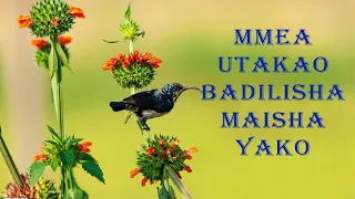 MMEA WA AJABU, WENGI UMEWASAIDIA