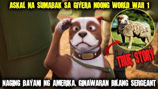 Askal Na Sumabak Sa WW1 Noong 1916, Naging Bayani At Ginawaran Ng Titolong Sergeant [TRUE STORY]