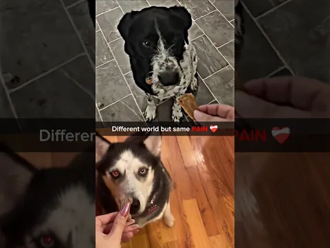 Which is more sad? ❤️‍🩹
