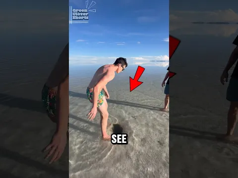 If You See This Hole on The Beach... STAY AWAY‼️😱😨