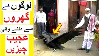 Shocking Things People Found Hidden in their Homes