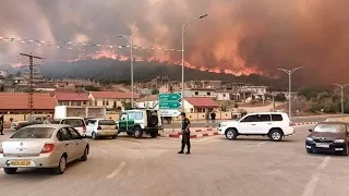 سوق اهراس في ظلام دامس بسبب الحرائق 🔥😭