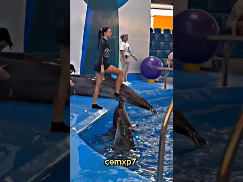 هي البنت طلعت على السمكة في المسبح !!! صدم الجميع