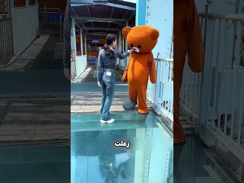 الباندا شجّع البنت تعدّي الجسر! 🐼🧡