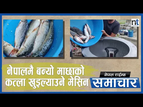 आविष्कार केन्द्रले बनायो माछाको कत्ला खुइल्याउने मेसिन|| Nepal Times