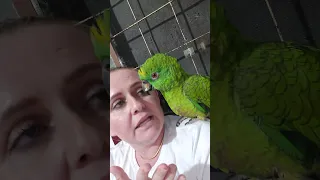 ele está indignado com os novatos em casa