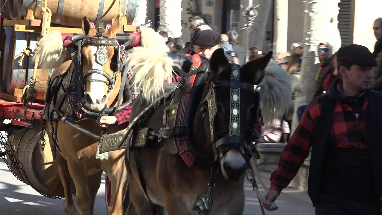 40 carruatges i una trentena de cavalls participen als Tonis de Centelles