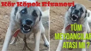 MEŞHUR EFSANE KÖR KÖPEĞİ BİR DE MUZAFFER EMMİ den DİNLEYİN