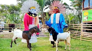 Ondel-ondel Betawi dan Kambing Lucu Sholawatan Lagu Qomarun 🎵