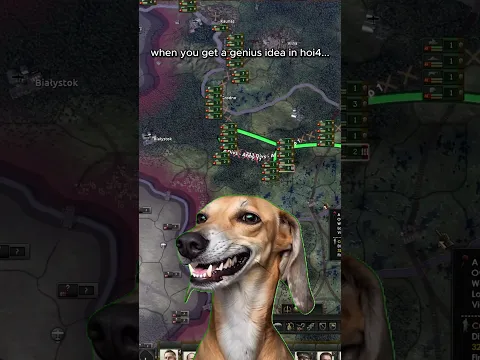 Best plan!  #hoi4 #gaming #heartsofiron4 #hoi #hoi4meme