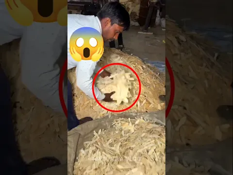 Wood spoon kaise banta hai 😱🤔 #making #shortvideo #woodworking