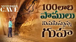 ఇన్ని పాములు🪱ఉంటాయని అనుకోలేదు భయపడి బయటకు వచ్చేసాం🐍| Dangerous Snake Caves