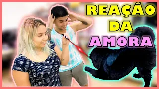 OLHA A REAÇÃO DAS CACHORRAS AO BRINCAR COM LASER - REAÇAO ENGRAÇADA  |  AMORINHA CHOWCHOW
