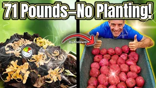 Why Potatoes Explode in Yield When Structure Is Right!