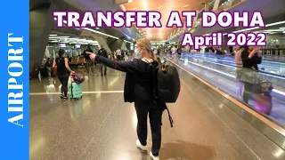 TRANSFER AT DOHA Airport - Transit walk to international connection flight at Hamad International