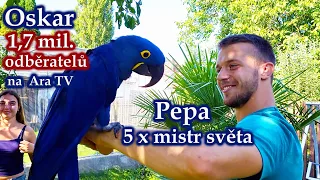 778 - Josef Ptáček, 6x mistr světa v bojových umění, z charitativní akce Šikana do klece