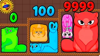 🌞ЭВОЛЮЦИЯ ПАЗЛА ИЗ КОТОВ, МАКСИМАЛЬНЫЙ УРОВЕНЬ! Puzzle Cats