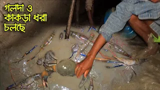 শীতের আগেই গলদা কাঁকড়া আর দাতিনা মাছের হিড়িক জেলেদের গড়া জালে | Adventure BD