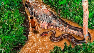 Eles Finalmente Encontraram a Maior Cobra do Mundo!