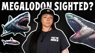 JUNKSPIRACIES: Megalodon is (NOT) still alive | Lindsay Nikole