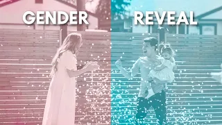 The Official Team Taylor GENDER REVEAL!!!