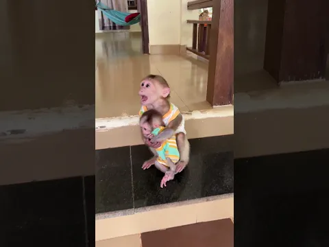 good brother pavpav hug to baby linda give for momy