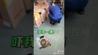 消防员回队路上抓住一只捉蝴蝶的白色动物，猜猜是什么
