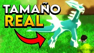 COMO poner los Pokemon a TAMAÑO REAL en Diamante Brillante y Perla Reluciente