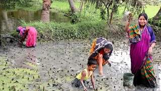 জমিতে কাদায় নেমে মাছ ধরে আজ রান্না করলাম লাউশাকের ঘন্ট আর কৈমাছ ভাপা || village fishing & cooking