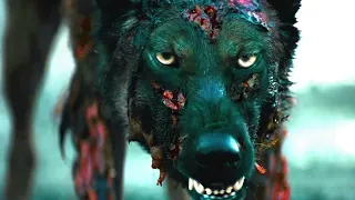 A Man Who Travels 600 Miles With His Brave Dogs To Get Medicine For Children's | Movie Recaps
