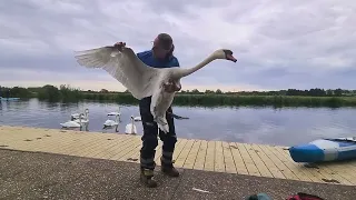 He couldn't move until I helped him