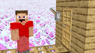 Extreme Safe House Challenge!