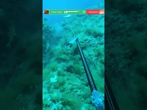 Cuantos Peces Puedes Pescar Con Un Solo Tiro