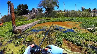 FROGS ONLY - Tournament on the California Delta