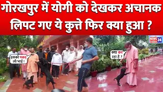 CM Yogi जब Gorakhpur पहुंचे तो देखिए कैसे Dog Gullu और Kalu Yogi को लिपट गए फिर क्या हुआ ?