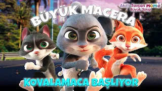 Akıllı Tavşan Momo: Büyük Takip | Momo’nun En Zor Anı! Kurtulabilecek mi? 😱