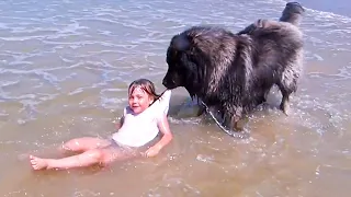 Heartwarming Rescues You Need to See! 🐾❤️