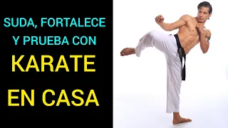 KARATE EN CASA, Para todos los Niveles, entrena y Prueba🥋🔥