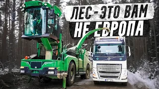 VOLVO FH 6x4 vs Дробилка. Лесные братья в деле #pavelkorol @volvotrucks
