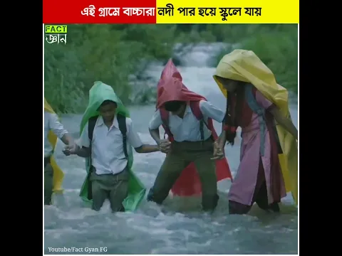 এই গ্রামের বাচ্চারা নদী পার হয়ে স্কুলে যায় Village children cross the river go to school #shorts