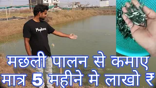 मछली पालन से कमाए मात्र 5 महीने में लाखो ₹/// MUPKINO FISH FARM PATNA NEW BUS STAND