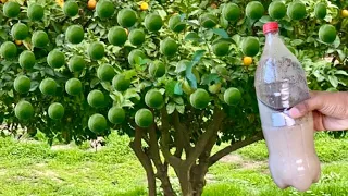 MIL VECES  MAS PODEROSO ! este  compuesto funciona como FERTILIZANTE FUNGICIDA e INSECTICIDA casero