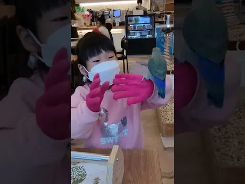 앵무새카페 #shorts