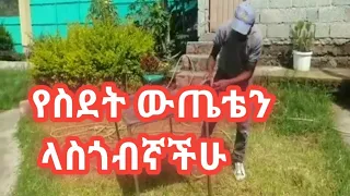🛑 የስደት ውጤቴን ላስጎብኛችሁ...
