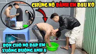 Vi Tiểu Bảo Bị Dẫn Ra Ngoài Đường—Va Chạm Nảy Lửa Và Cú Trượt Xuống Ruộng