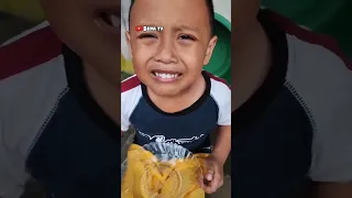 Kumpulan video bilva tv 🐶😁😆