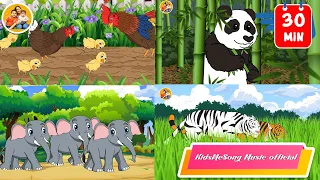 กุ๊กกุ๊กไก่  เพลงสัตว์  10  ชนิด สื่อการสอน เรียนรู้สัตว์ 30 นาที By KidsMeSong Music Official