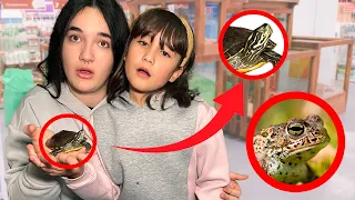 ESTOS SON MIS SAPOS Y MI TORTUGA **NUEVOS TERRARIO** 🐸🐢